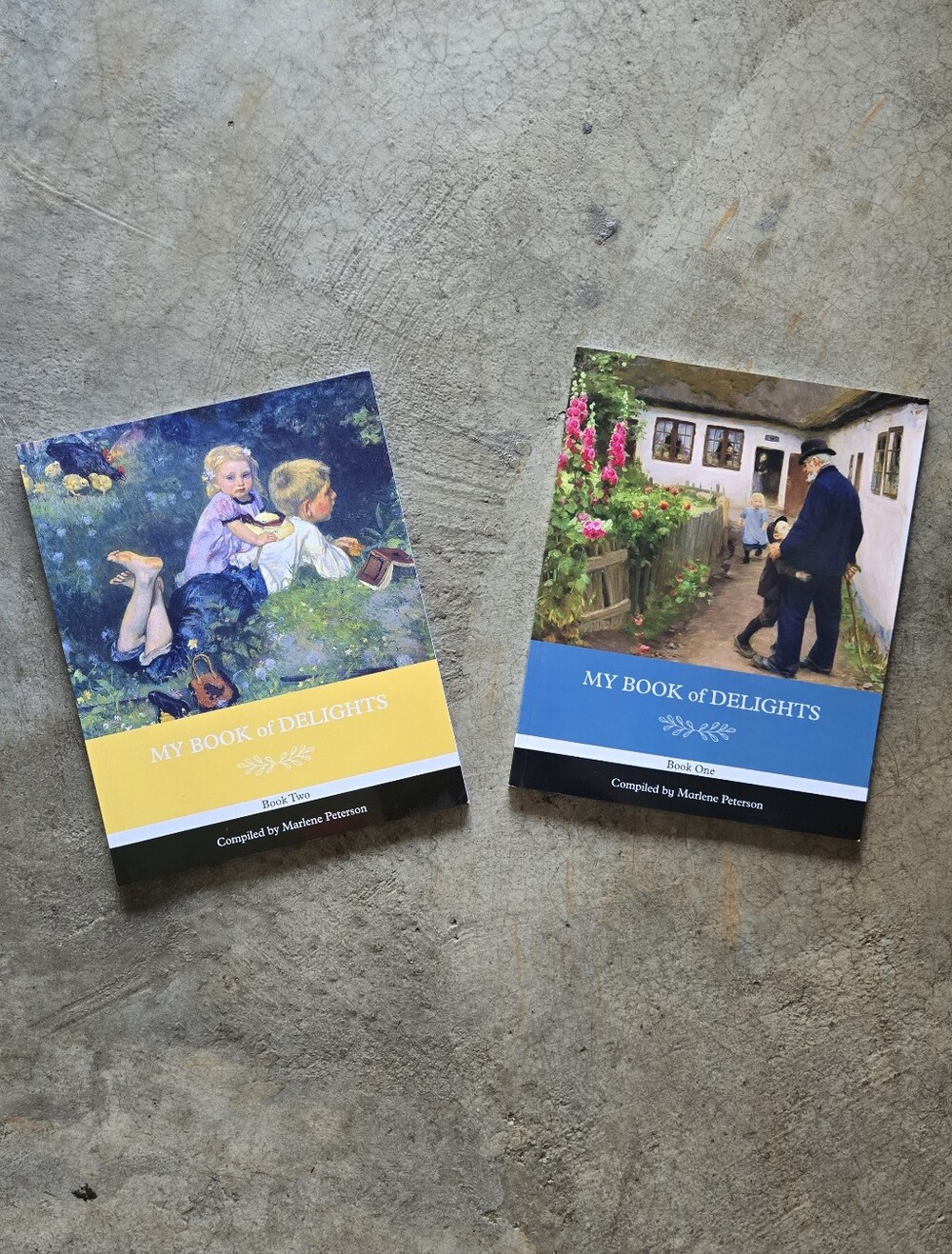 My Book of Delights 1 & 2 Librairies Of Hope Art Poetry Homeschool Books